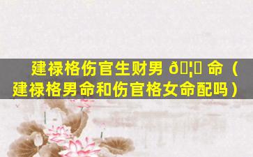 建禄格伤官生财男 🦟 命（建禄格男命和伤官格女命配吗）